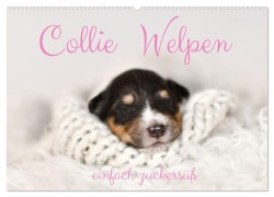 Cover-Bild zum Titel 'Collie Welpen einfach zuckersüß (Wandkalender 2026 DIN A2 quer), CALVENDO Monatskalender' von 'Yvonne Janetzek'