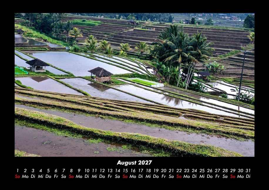 InsideView 12