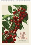Cover-Bild zum Titel 'Alte Obstsorten. Wandkalender 2026' von ''