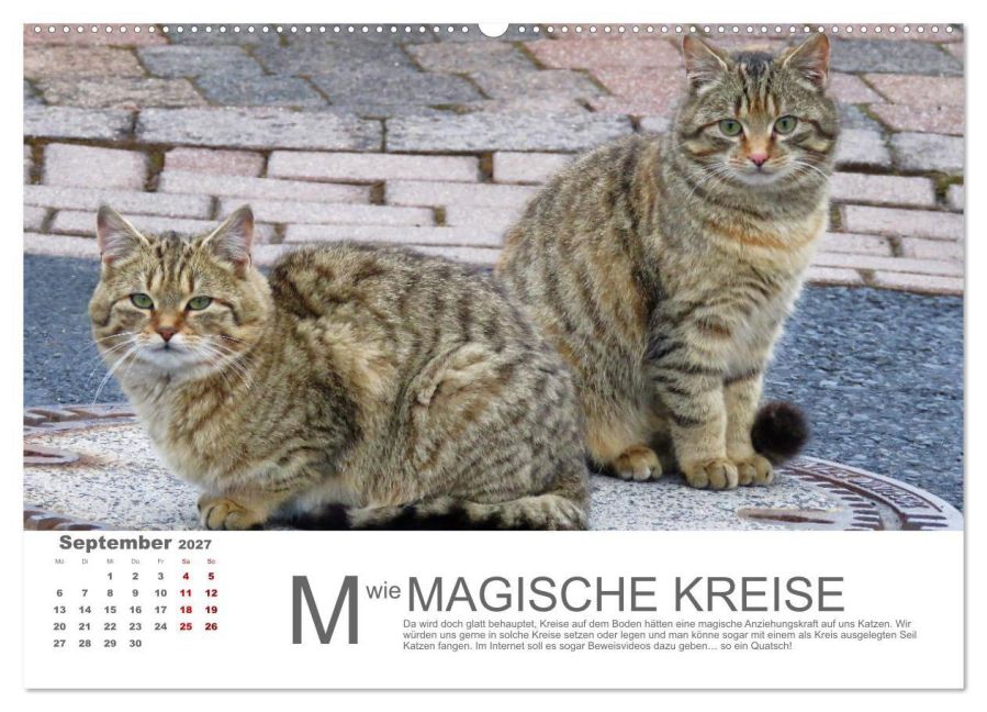InsideView 13
