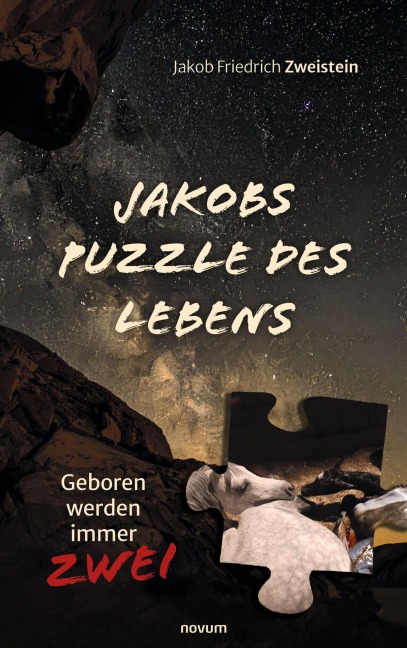 Jakobs Puzzle des Lebens - Jakob Friedrich Zweistein