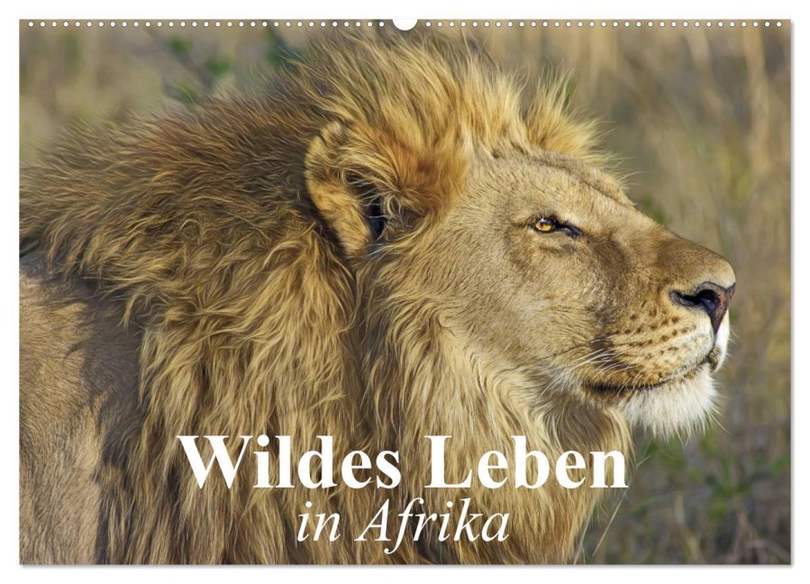 Wildes Leben in Afrika (Wandkalender 2025 DIN A2 quer), CALVENDO Monatskalender - Elisabeth Stanzer