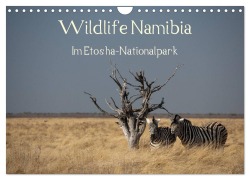 Cover-Bild zum Titel 'Wildlife Namibia (Wandkalender 2026 DIN A4 quer), CALVENDO Monatskalender' von 'Reinhard Müller'