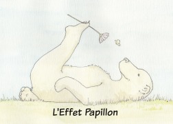 Cover-Bild zum Titel 'L'Effet Papillon' von 'Julien Chaplier'