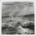 Cover-Bild zum Titel 'Heretical Angels' von 'Katarina/Kantaduri Dialogos/Livljanic'