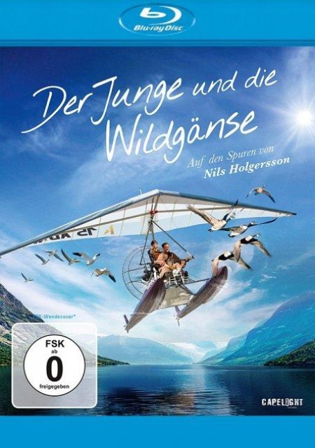 Der Junge und die Wildgänse - Lilou Fogli, Christian Moullec, Matthieu Petit, Nicolas Vanier, Armand Amar
