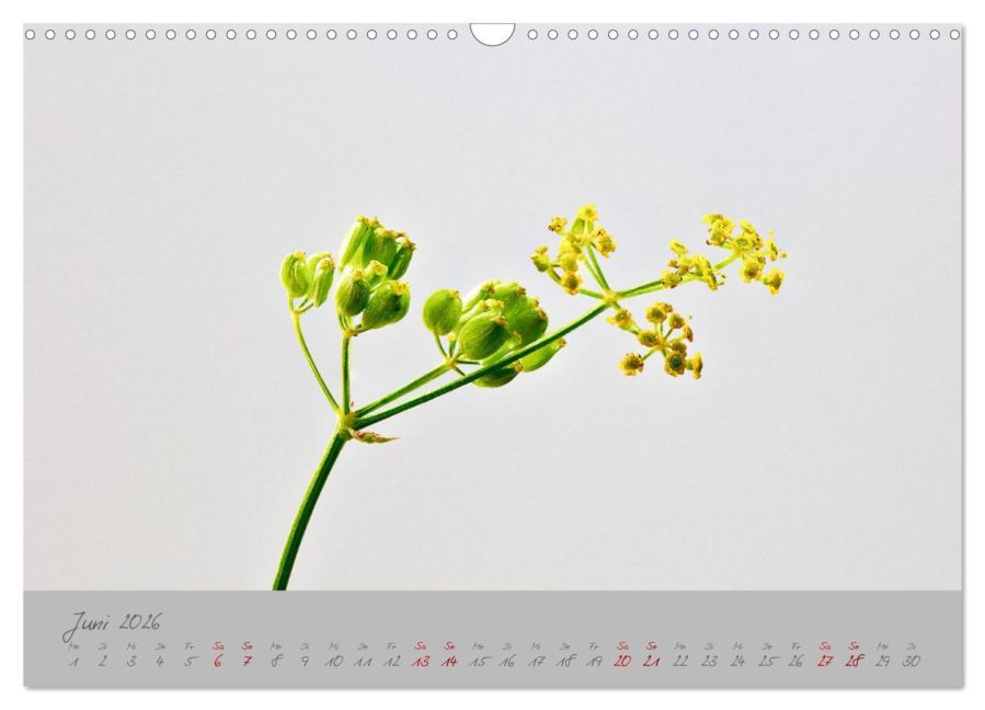 InsideView 11