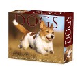 Dogs 2024 6.2 X 5.4 Box Calendar - Willow Creek Press