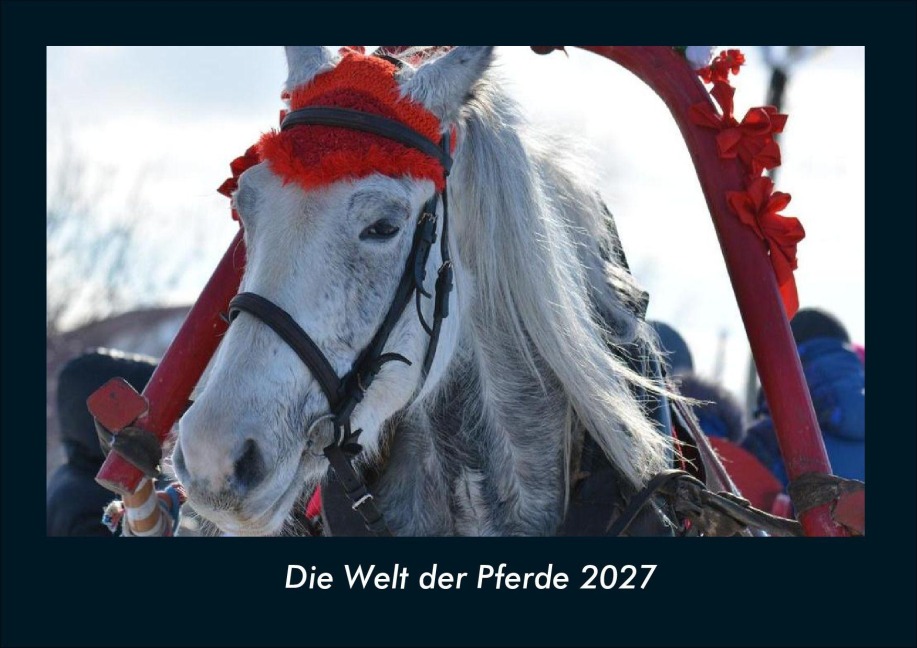 Die Welt der Pferde 2027 Fotokalender DIN A4 - Tobias Schmitt, Kevin Heber