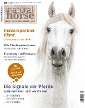 Natural Horse 50 - 