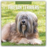 Tibetan Terriers - Tibet Terrier 2026 - 16-Monatskalender - Robin Red