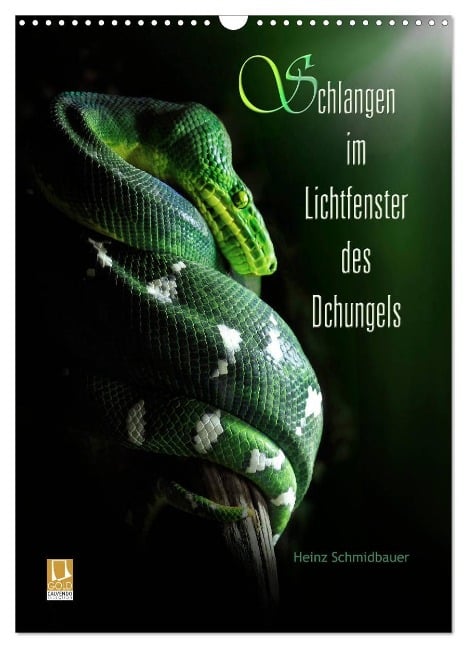 Schlangen im Lichtfenster des Dschungels (Wandkalender 2024 DIN A3 hoch), CALVENDO Monatskalender - Heinz Schmidbauer