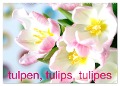 Tulpen, Tulips, Tulipes (Wandkalender 2024 DIN A2 quer), CALVENDO Monatskalender - Gisela Kruse