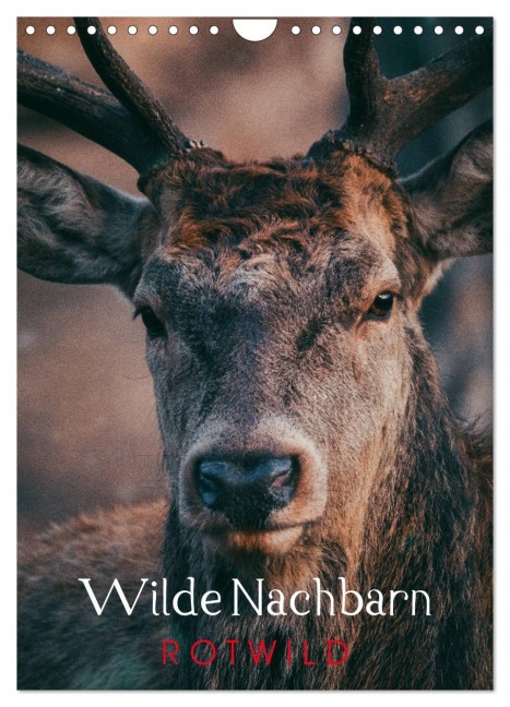 Wilde Nachbarn: Rotwild (Wandkalender 2026 DIN A4 hoch), CALVENDO Monatskalender - Chris Payne
