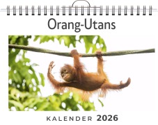 Cover-Bild zum Titel 'Orang-Utans' von 'Lucy Braun'