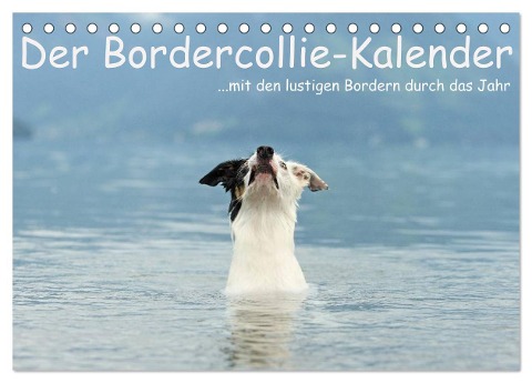 Der Bordercollie-Kalender (Tischkalender 2024 DIN A5 quer), CALVENDO Monatskalender - Kathrin Köntopp