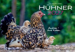 Cover-Bild zum Titel 'Hühner Kalender 2027' von 'J. -L. Hubert Klein'