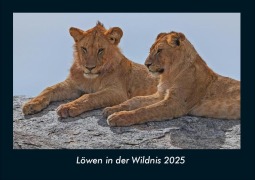 Cover-Bild zum Titel 'Löwen in der Wildnis 2025 Fotokalender DIN A4' von 'Tobias Becker'