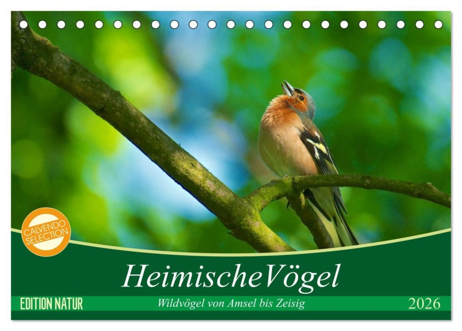 Heimische Vögel (Tischkalender 2026 DIN A5 quer), CALVENDO Monatskalender - Ralf Mooß