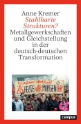 Cover-Bild zum Titel 'Stahlharte Strukturen?' von 'Anne Kremer'