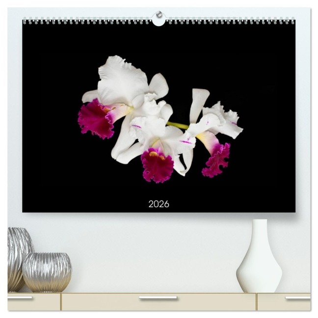 Leuchtende Cattleyen (hochwertiger Premium Wandkalender 2026 DIN A2 quer), Kunstdruck in Hochglanz - Clemens Stenner