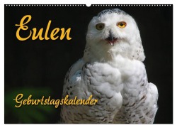 Cover-Bild zum Titel 'Eulen (Wandkalender 2026 DIN A2 quer), CALVENDO Monatskalender' von 'Pferdografen. De Antje Lindert-Rottke Martina Berg'