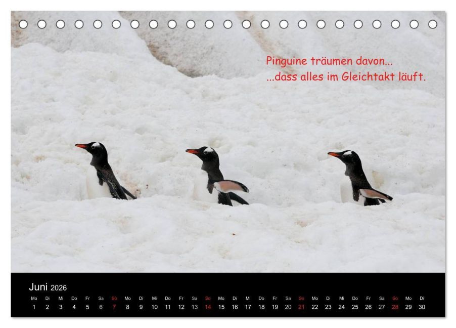 InsideView 11