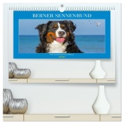 Berner Sennenhund - Ein Freund auf vier Pfoten (hochwertiger Premium Wandkalender 2026 DIN A2 quer), Kunstdruck in Hochglanz - Sigrid Starick
