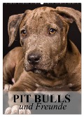 Pit Bulls und Freunde (Wandkalender 2025 DIN A2 hoch), CALVENDO Monatskalender - Elisabeth Stanzer