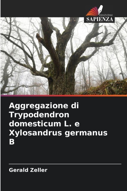 Aggregazione di Trypodendron domesticum L. e Xylosandrus germanus B - Gerald Zeller