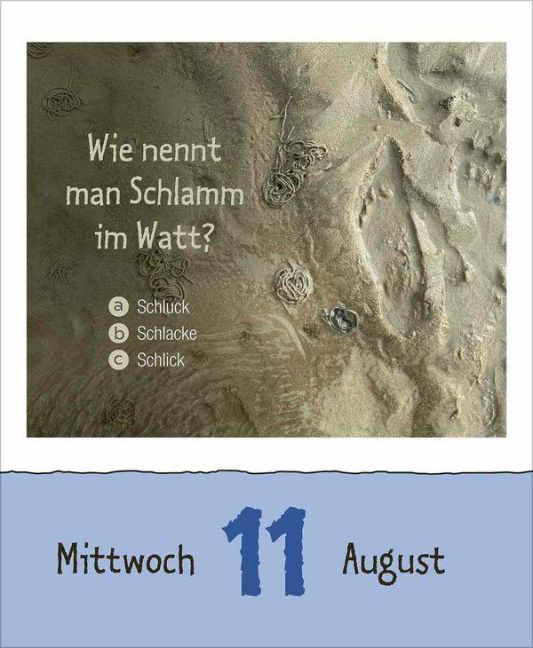 InsideView 11
