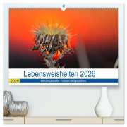 Cover-Bild zum Titel 'Lebensweisheiten 2026 (hochwertiger Premium Wandkalender 2026 DIN A2 quer), Kunstdruck in Hochglanz' von 'Michis Fotogalerie'