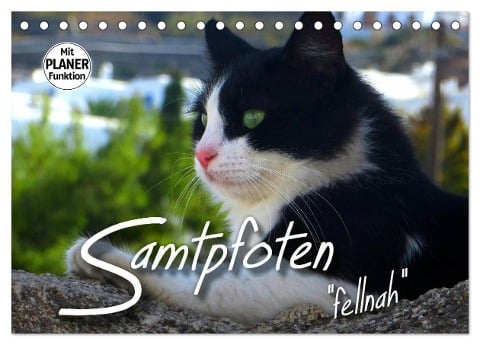 SAMTPFOTEN "fellnah" (Tischkalender 2025 DIN A5 quer), CALVENDO Monatskalender - Renate Bleicher