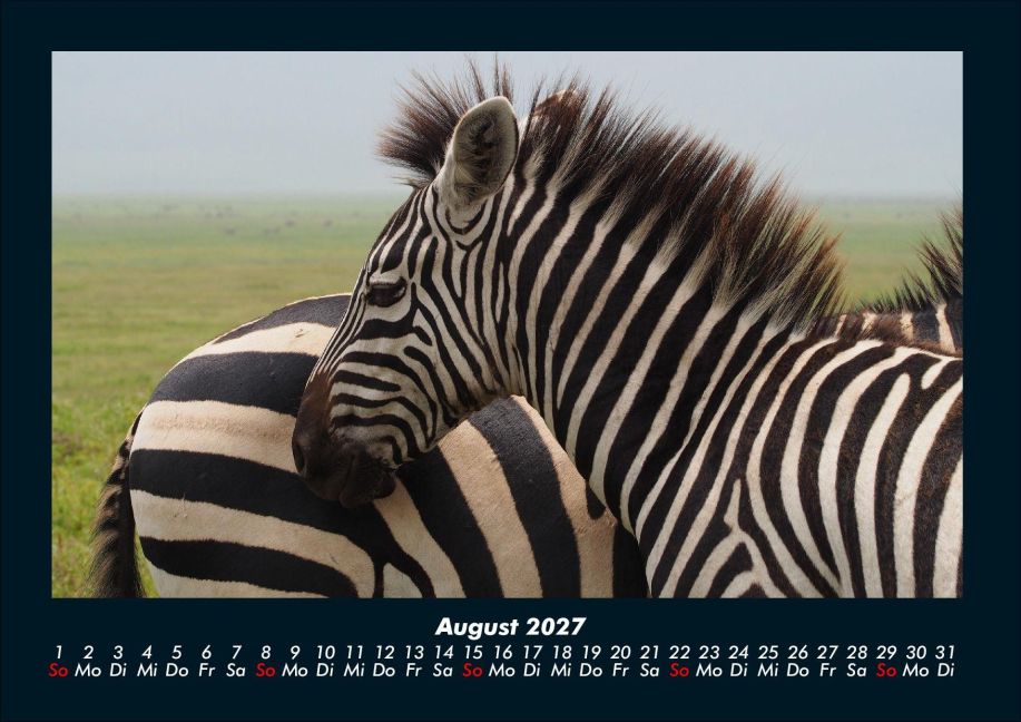 InsideView 12