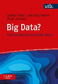 Cover-Bild zum Titel 'Big Data? Frag doch einfach!' von 'Detlev Frick, Jens Kaufmann, Birgit Lankes'