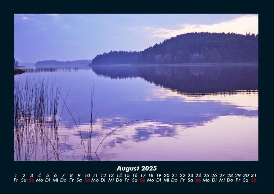 InsideView 12