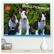 Cover-Bild zum Titel 'Bullterrier (hochwertiger Premium Wandkalender 2026 DIN A2 quer), Kunstdruck in Hochglanz' von 'Bullterrier Bullterrier'