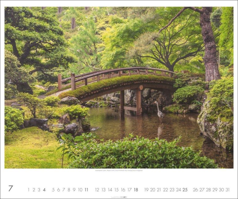 InsideView 7