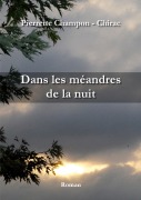 Cover-Bild zum Titel 'Dans les méandres de la nuit' von 'Pierrette Champon - Chirac'