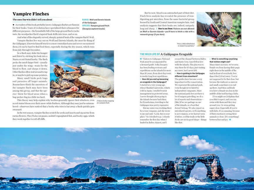 InsideView 10