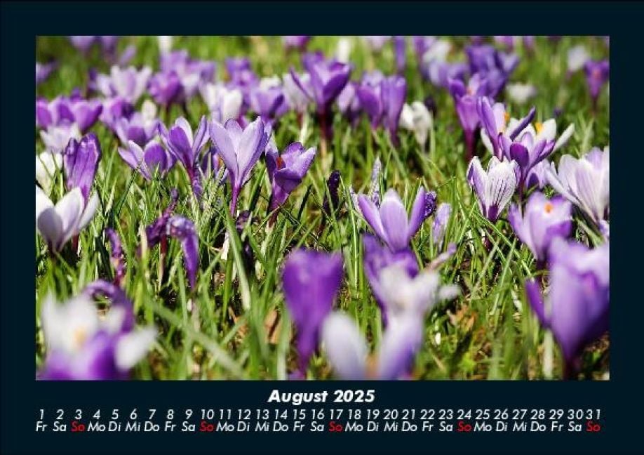 InsideView 12