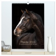 Pferde 2026 - Charakterköpfe vor der Kamera (hochwertiger Premium Wandkalender 2026 DIN A2 hoch), Kunstdruck in Hochglanz - Paula Müller