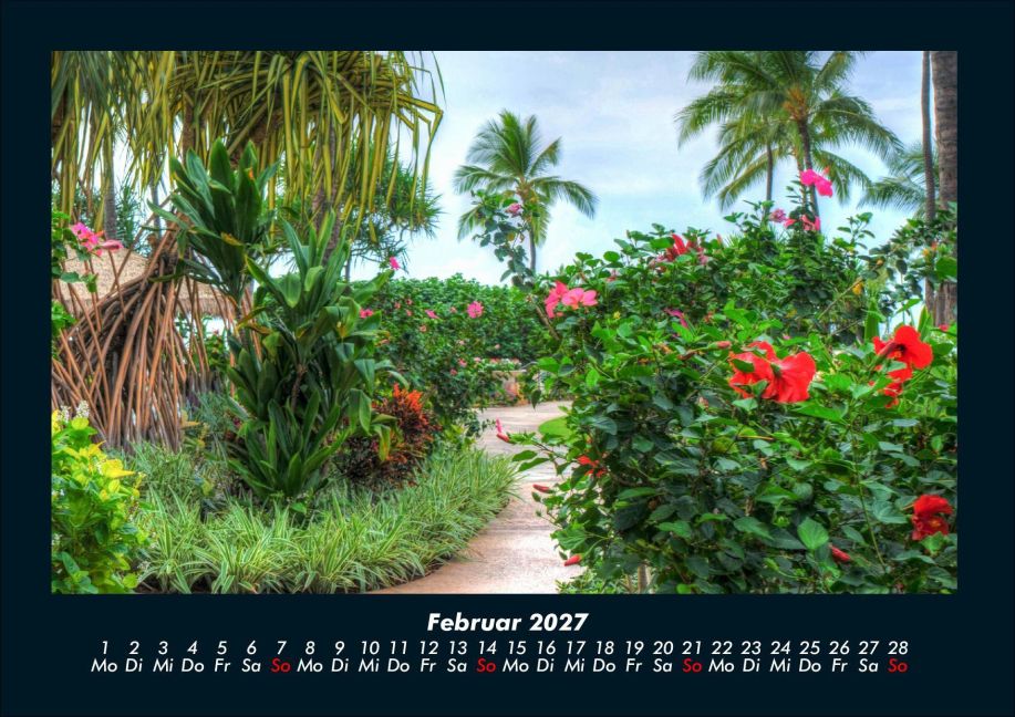 InsideView 6