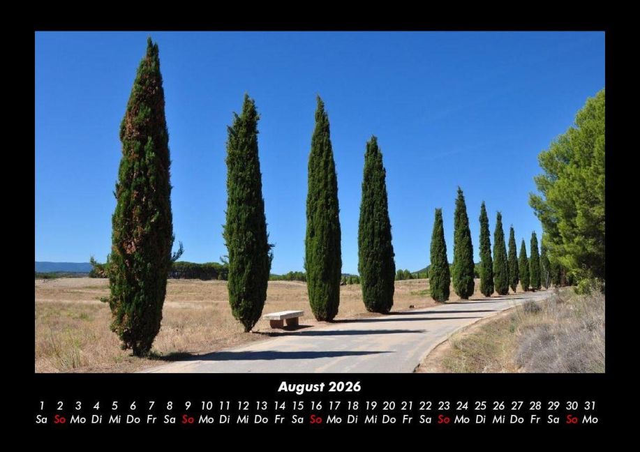 InsideView 12