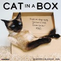 Cat in a Box 2024 12 X 12 Wall Calendar - Willow Creek Press