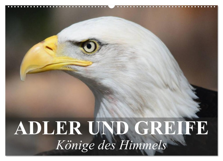 Adler und Greife - Könige des Himmels (Wandkalender 2026 DIN A2 quer), CALVENDO Monatskalender - Elisabeth Stanzer
