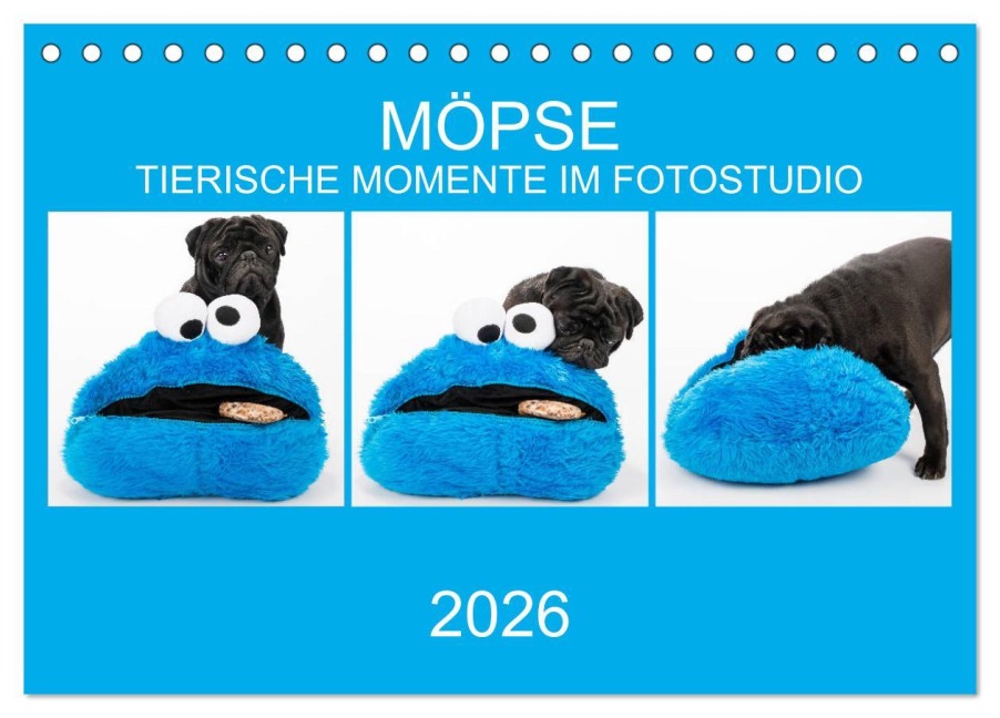 MÖPSE - tierische Momente im Fotostudio (Tischkalender 2026 DIN A5 quer), CALVENDO Monatskalender - Ole Dodeck