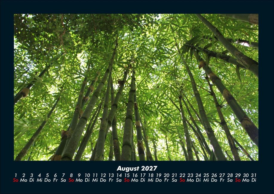 InsideView 12