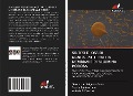 Cover-Bild zum Titel 'SINTESI DI OSSIDI NANOSTRUTTURATI IN MEMBRANE DI ALLUMINA POROSA' von 'Marcelo A. Salguero Salas, Noelia Bajales Luna, Valeria C. Fuertes'