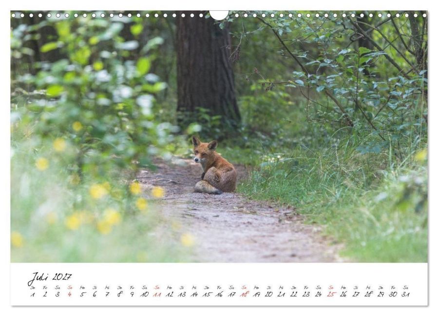 InsideView 12